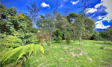 Venta Lote Parcelacion Alto Palmas