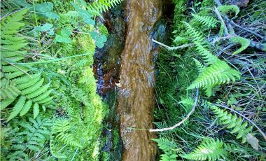 Venta Lote Parcelacion Alto Palmas