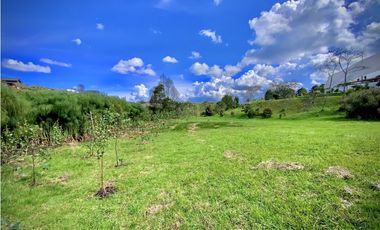 Venta Lote Parcelacion Alto Palmas