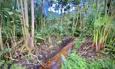 Venta Lote Parcelacion Alto Palmas