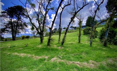 Venta Lote Parcelacion Alto Palmas