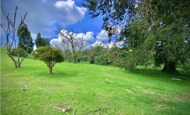 Venta Lote Parcelacion Alto Palmas