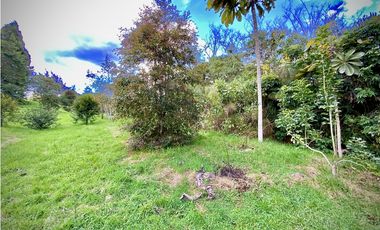 Venta Lote Parcelacion Alto Palmas