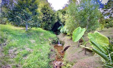 Venta Lote Parcelacion Alto Palmas