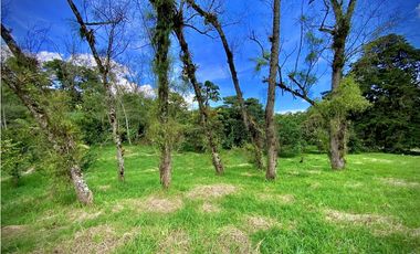 Venta Lote Parcelacion Alto Palmas