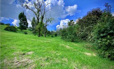 Venta Lote Parcelacion Alto Palmas