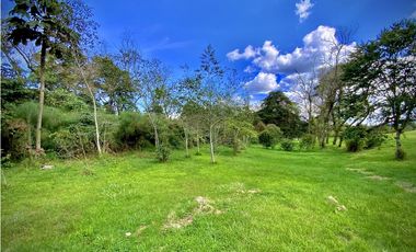 Venta Lote Parcelacion Alto Palmas