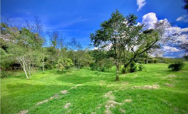 Venta Lote Parcelacion Alto Palmas