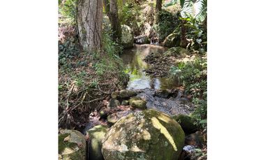VENTA FINCA TMESIS, SUROESTE ANTIOQUEÑO