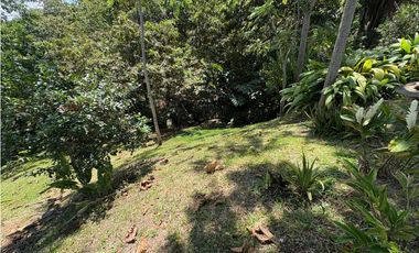 VENTA FINCA TMESIS, SUROESTE ANTIOQUEÑO