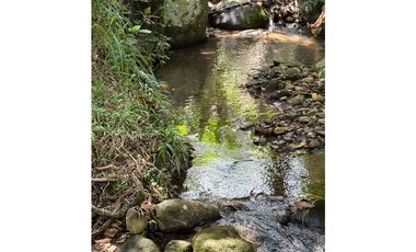 VENTA FINCA TMESIS, SUROESTE ANTIOQUEÑO