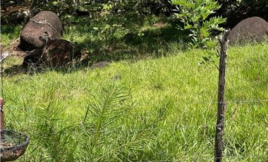 VENTA FINCA TMESIS, SUROESTE ANTIOQUEÑO