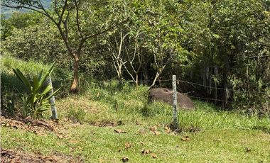 VENTA FINCA TMESIS, SUROESTE ANTIOQUEÑO