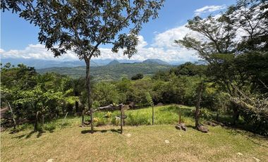 VENTA FINCA TMESIS, SUROESTE ANTIOQUEÑO