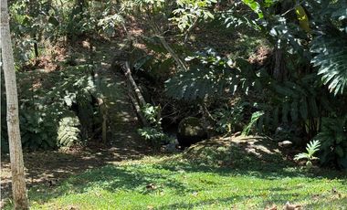 VENTA FINCA TMESIS, SUROESTE ANTIOQUEÑO