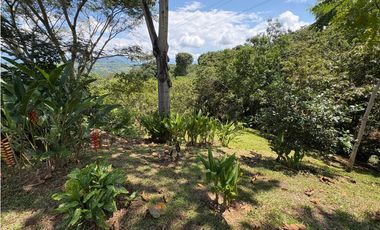 VENTA FINCA TMESIS, SUROESTE ANTIOQUEÑO