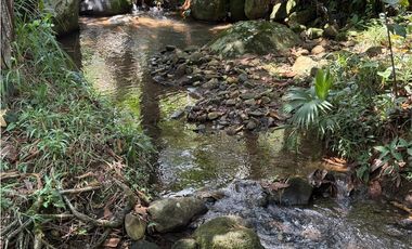 VENTA FINCA TMESIS, SUROESTE ANTIOQUEÑO