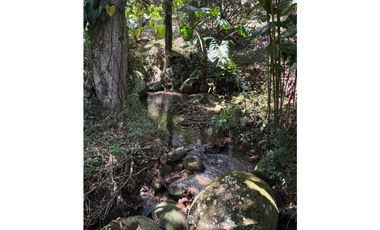 VENTA FINCA TMESIS, SUROESTE ANTIOQUEÑO