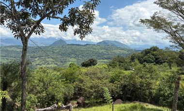 VENTA FINCA TMESIS, SUROESTE ANTIOQUEÑO