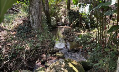 VENTA FINCA TMESIS, SUROESTE ANTIOQUEÑO