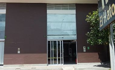 Local en arriendo- Rionegro- Llanogrande