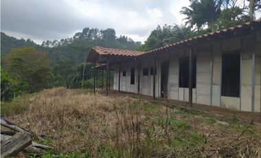PREDIO EN VENTA – Salento, Quindío –
