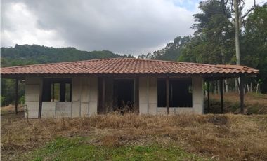 PREDIO EN VENTA – Salento, Quindío –