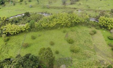 PREDIO EN VENTA – Salento, Quindío –