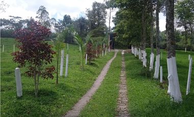 PREDIO EN VENTA – Salento, Quindío –