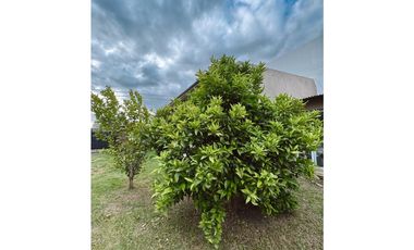 Venta hermosa casa 3 dormitorios fondo y pileta zona Golf Cae