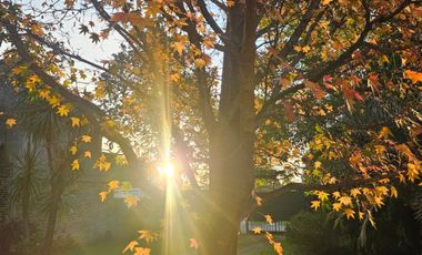 Venta de Finca Exclusiva en Ezeiza 5300m² | Casco 320m², Piscina, Quincho, Tenis