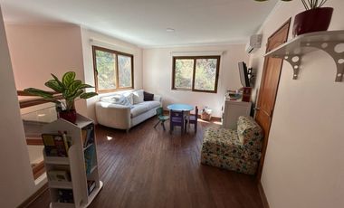 CAMINO LOS PALQUIS, CAMINO A FARELLONES