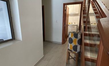 CAMINO LOS PALQUIS, CAMINO A FARELLONES