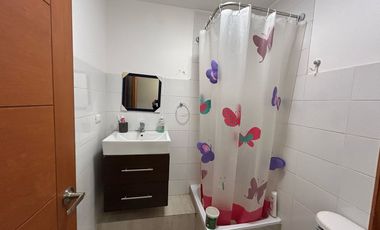 CAMINO LOS PALQUIS, CAMINO A FARELLONES