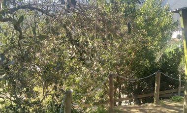 Casa en Venta en Femur