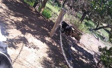 Casa en Venta en Femur