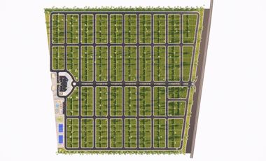 Venta de Terreno por Lotes o Hectáreas