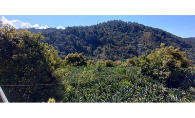 DEPARTAMENTO EN RENTA/ PIPIOLTEPEC VALLE DE BRAVO