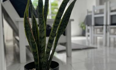 Departamento en venta - 2 Dormitorios 1 Baño - San Clemente del Tuyú