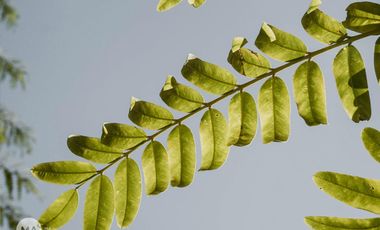 Cannes - Barrio Privado