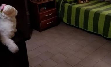 Casa en venta - 2 Dormitorios 1 Baño - 150Mts2 - Mar del Plata