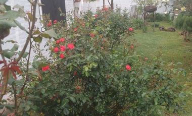 Casa en venta - 2 Dormitorios 1 Baño - Cochera - 286Mts2 - Carmen de Areco