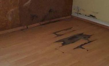 Deposito con vivienda en Alvarado y 14 de Julio