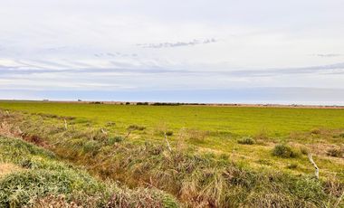 Campo en General Almada
