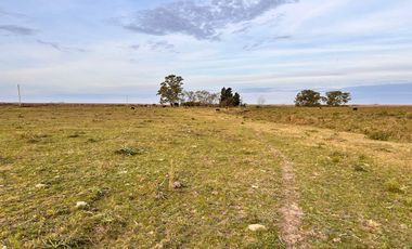 Campo en General Almada