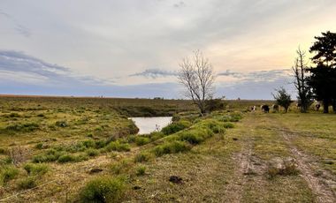 Campo en General Almada