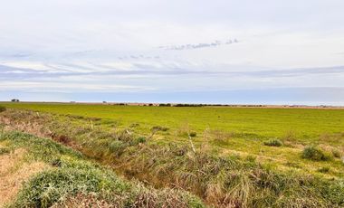 Campo en General Almada