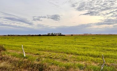 Campo en General Almada