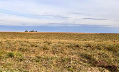 Campo en General Almada