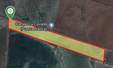 Campo en General Almada